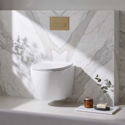 Fairford Sierra Pure Wall Hung Toilet with Soft Close Seat — Bright White Marble lifestyle