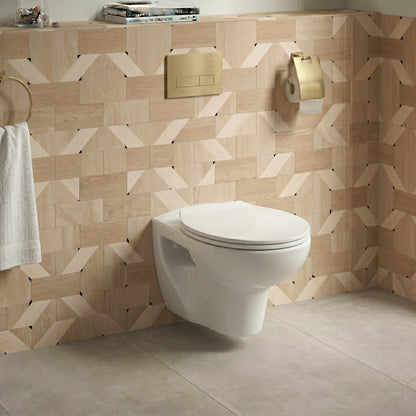 Fairford Duro Wall Hung Toilet