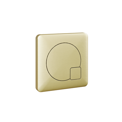 Dual Flush Concealed Toilet Cistern - Brushed Brass