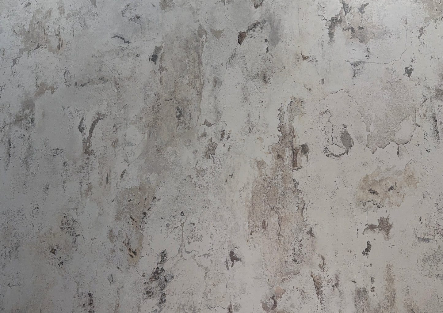 Hydraset Veneto Concrete Matt 1200 x 2400 Setlock Wall Panel