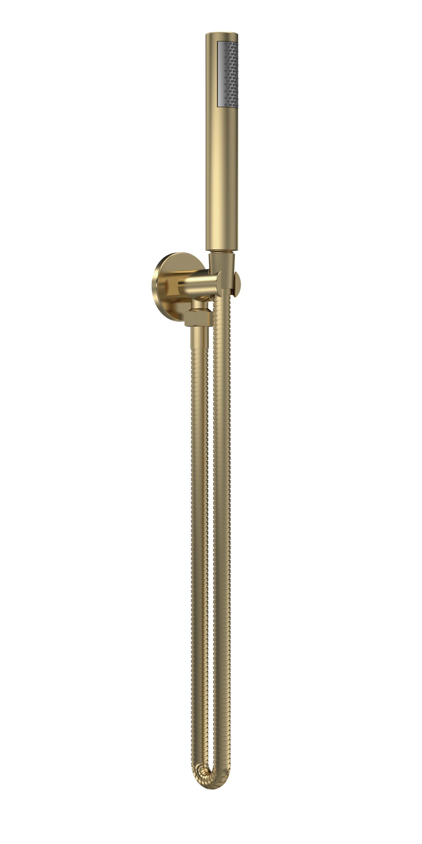 Fairford Element Round Brushed Brass Handset with Outlet Elbow, Bracket and Hose