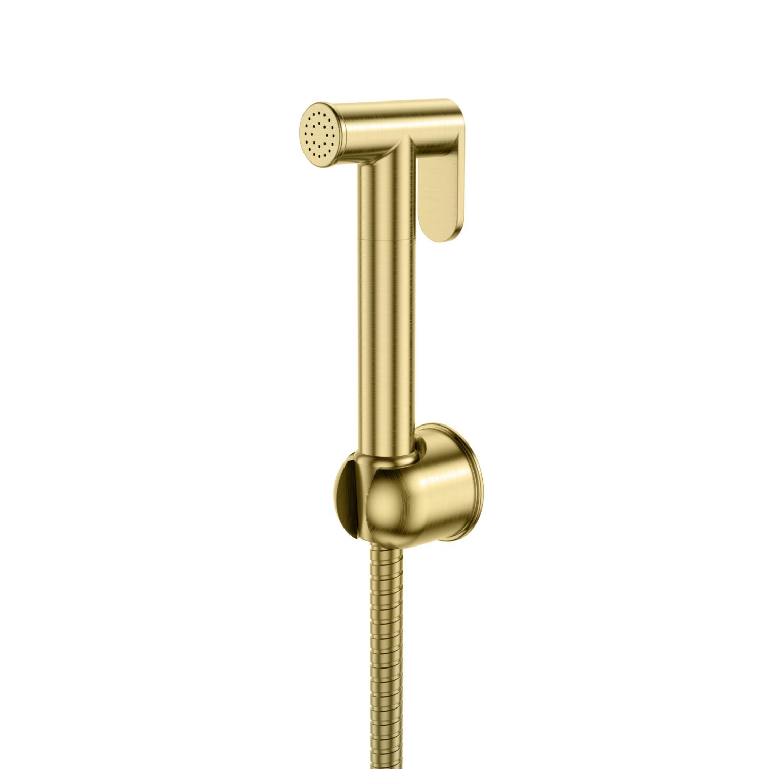 Fairford Element 7 Brushed Brass Douche Handset, Hose & Hold