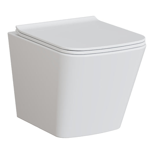 Fairford Grove Wall Hung Toilet with Soft Close Seat