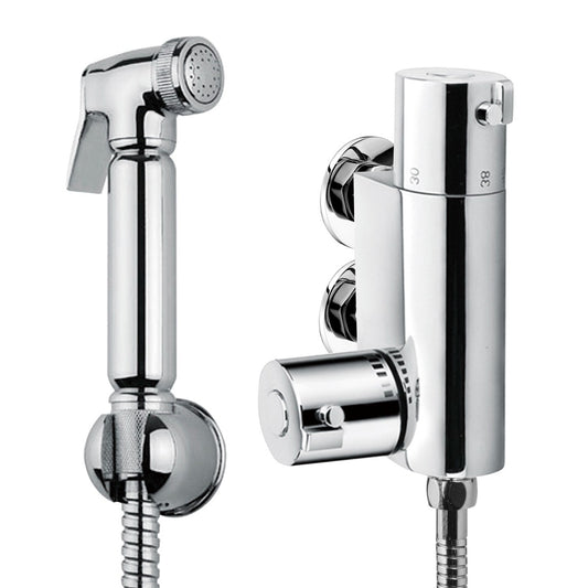 Fairford Standard Douche Spray Kit with Themo Valve