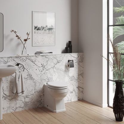 Fairford Hexam Back To Wall Toilet, no Seat