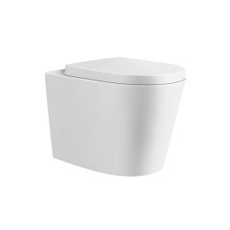 Fairford Handel Pro Short Projection Back To Wall Toilet