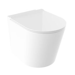Fairford Handel Pro Back To Wall Toilet, Rimless