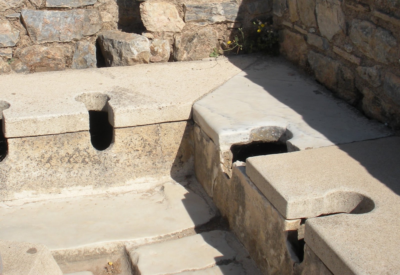 The Indus Valley Toilet